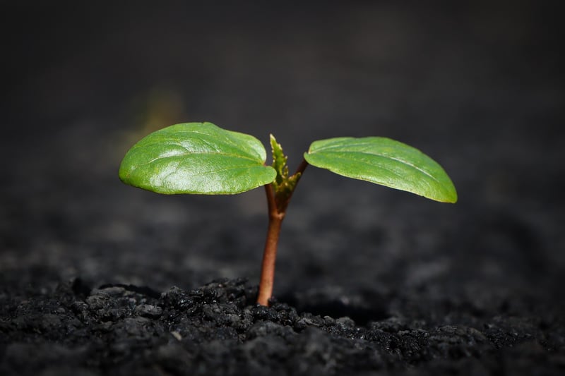 Earth Lightbulb
